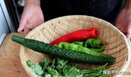 在线观看吃瓜爆料老虎菜,吃瓜爆料老虎菜背后的真相