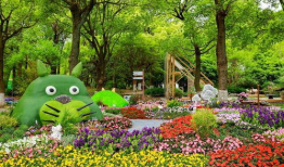 动漫花园官网,探索动漫世界的奇幻之旅