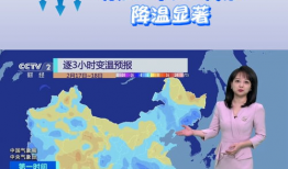 天气预报视频,视频解析今日气温、降水及风力状况”